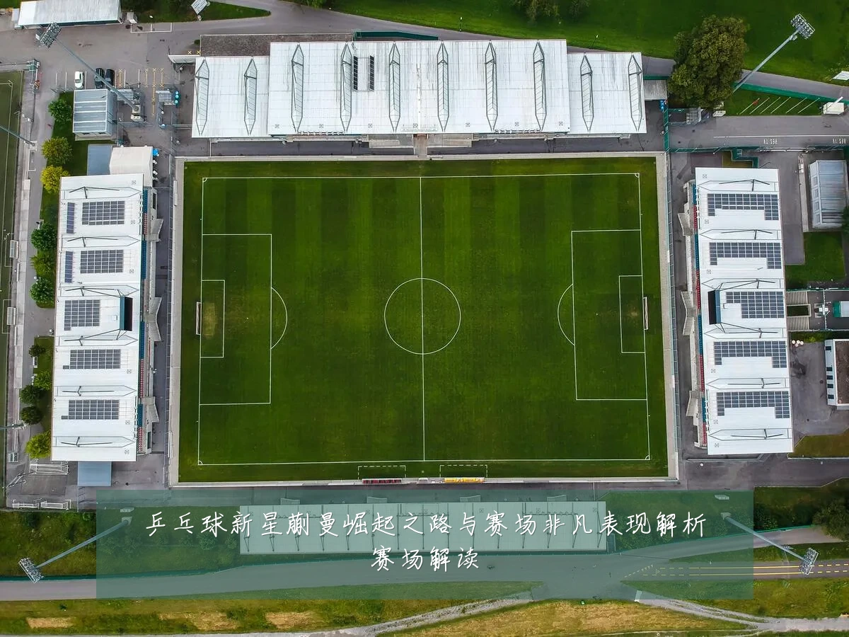 乒乓球新星蒯曼崛起之路与赛场非凡表现解析赛场解读