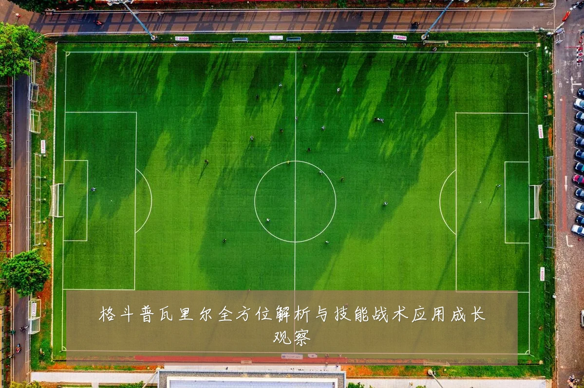格斗普瓦里尔全方位解析与技能战术应用成长观察
